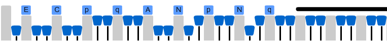 Angstl-BHA-4.png