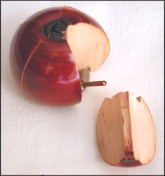 Körper mit entferntem Element