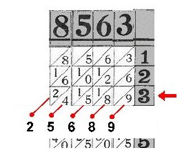 Neper3-stewe.jpg
