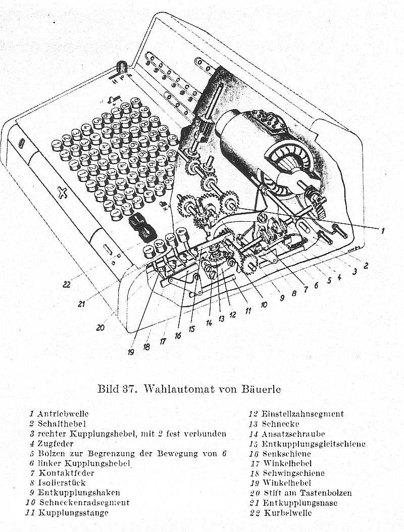 Badenia-schnittzei-lind.jpg