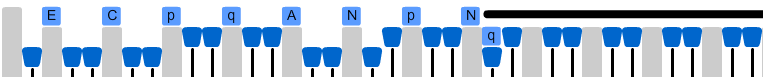 Angstl-BHA-6.png