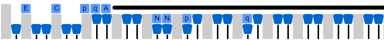Angstl-BHA-8.png