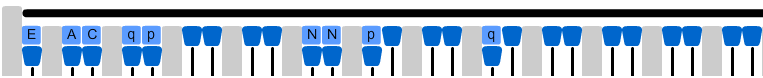 Angstl-BHA-10.png